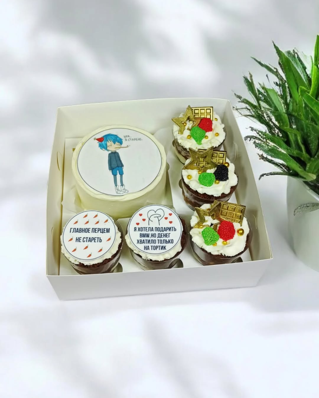 Набори десертів Кривий Ріг, бенто торт і трайфли, бенто торт і капкейки.